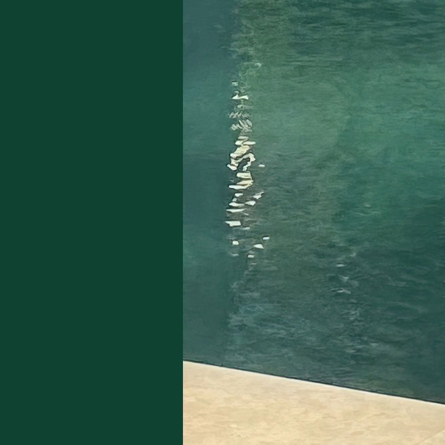 Zoom sur la finition carbone Pure Calanque pour piscine coque haut de gamme.